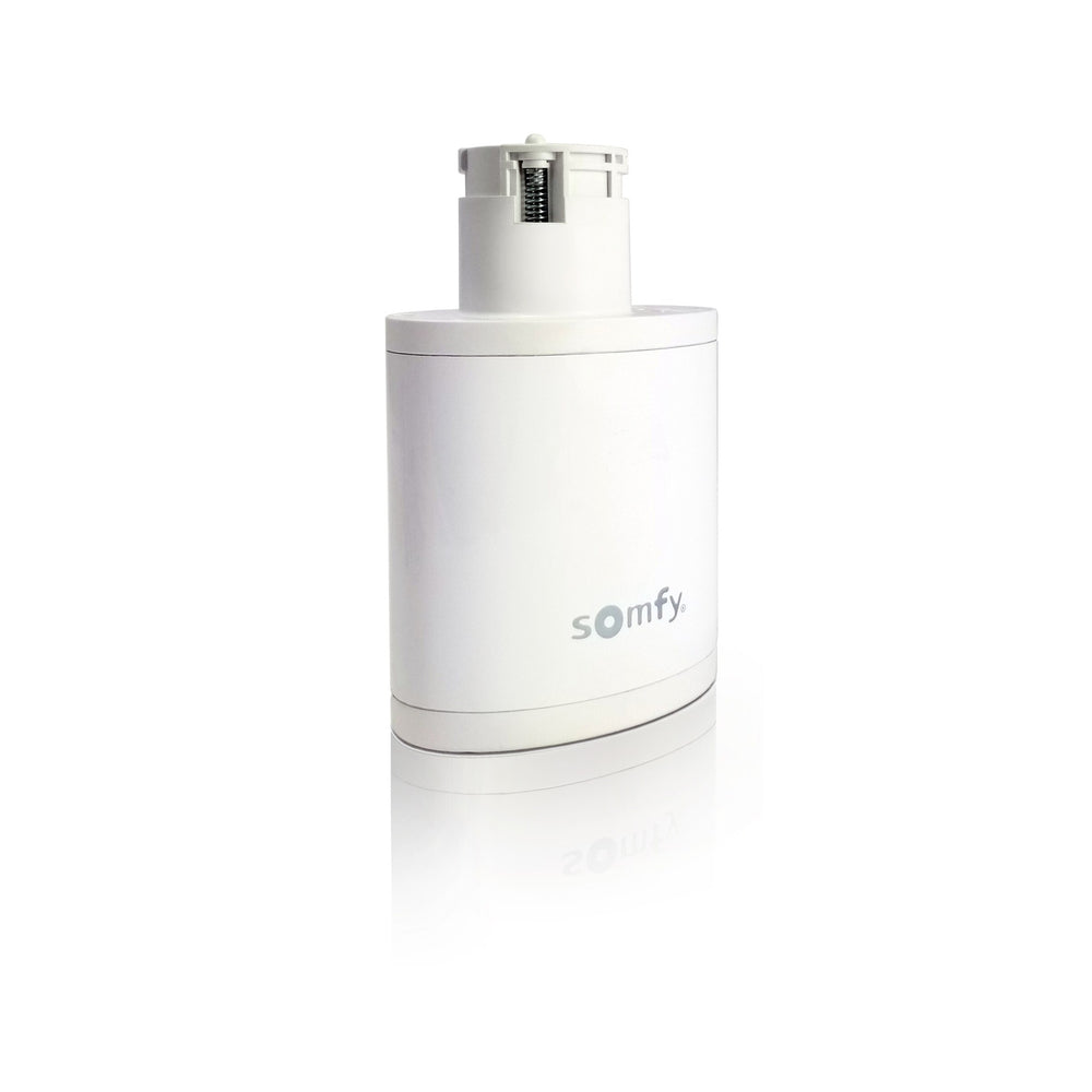 Somfy Replacement 25.9V Rechargeable Li-ion Battery for Irismo 45 WireFree RTS (9026476)