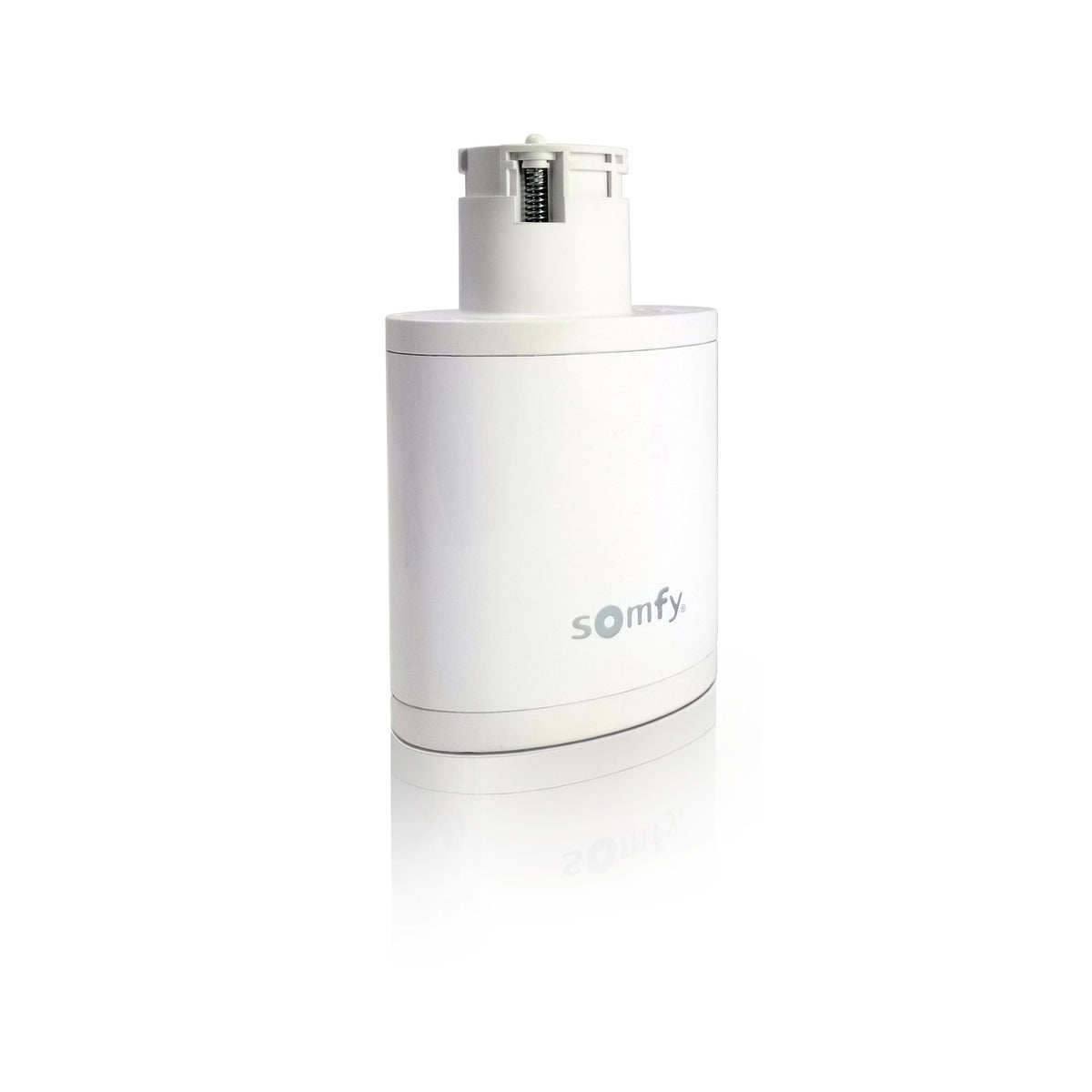 Somfy Replacement 25.9V Rechargeable Li-ion Battery for Irismo 45 WireFree RTS (9026476)