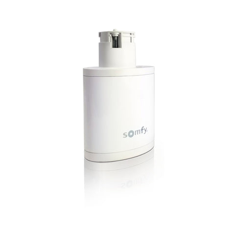 Somfy Replacement 25.9V Rechargeable Li-ion Battery for Irismo 45 WireFree RTS (9026476)